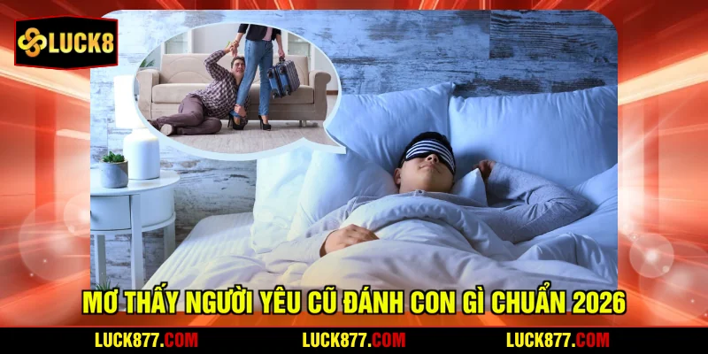 Mơ thấy người yêu cũ đánh con gì chuẩn 2026